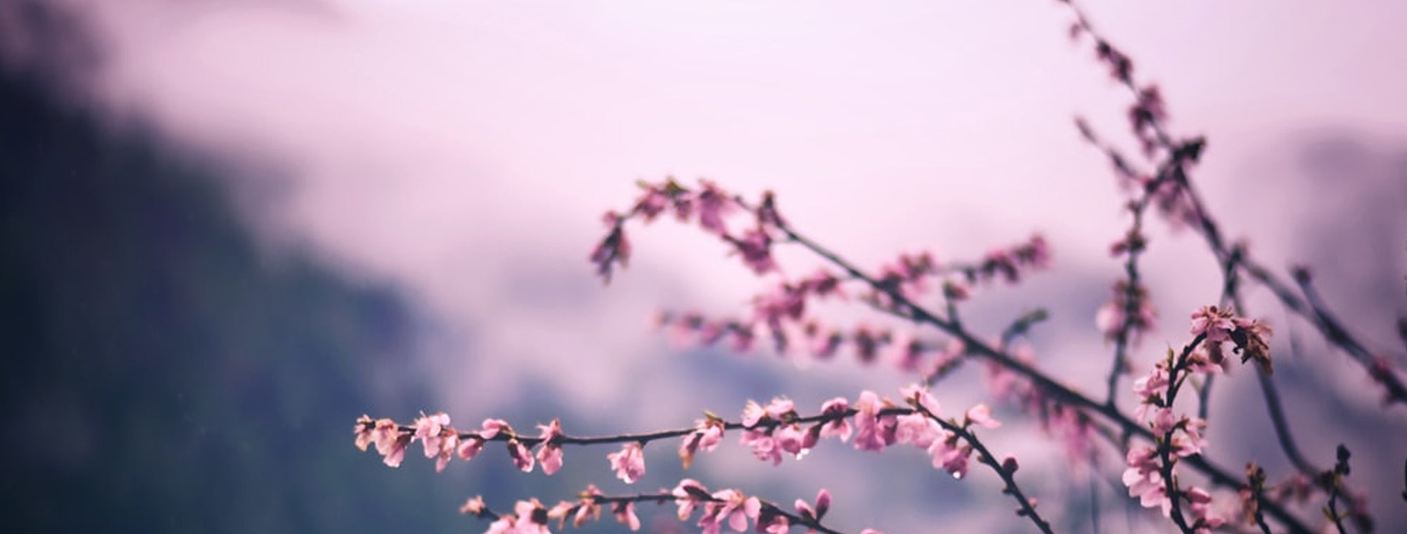 kamik marina rain boot