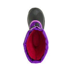 PURPLE : WATERBUG 5 Top View