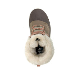 FOSSIL : ICELAND F Top View