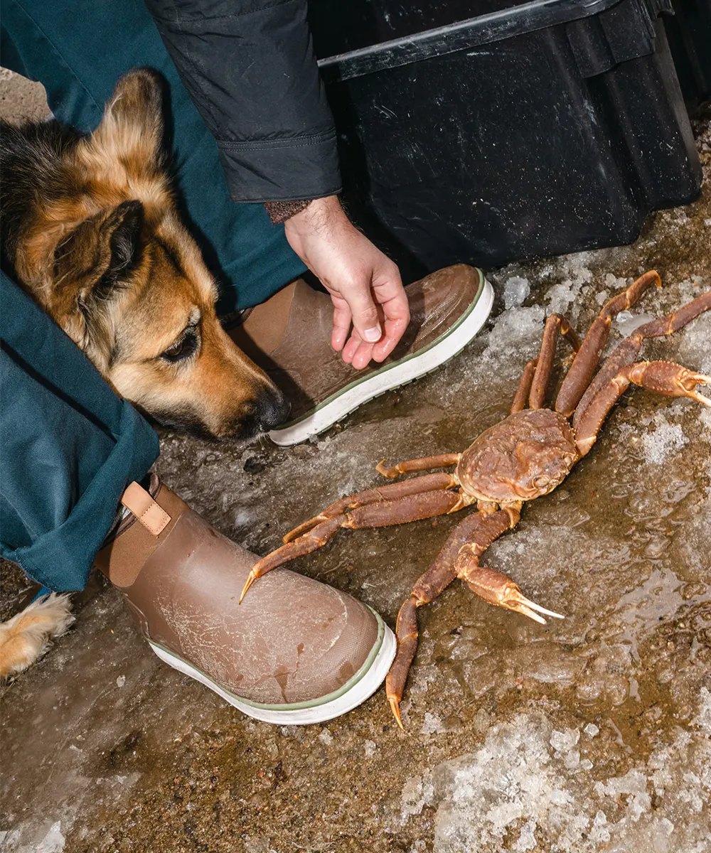 Man wearing Kamik Lowtide rain boots while about to pick up a crab